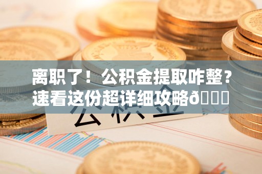 将乐离职了！公积金提取咋整？速看这份超详细攻略😎