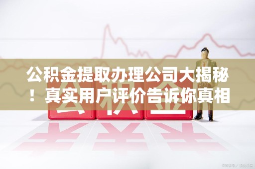 将乐公积金提取办理公司大揭秘！真实用户评价告诉你真相